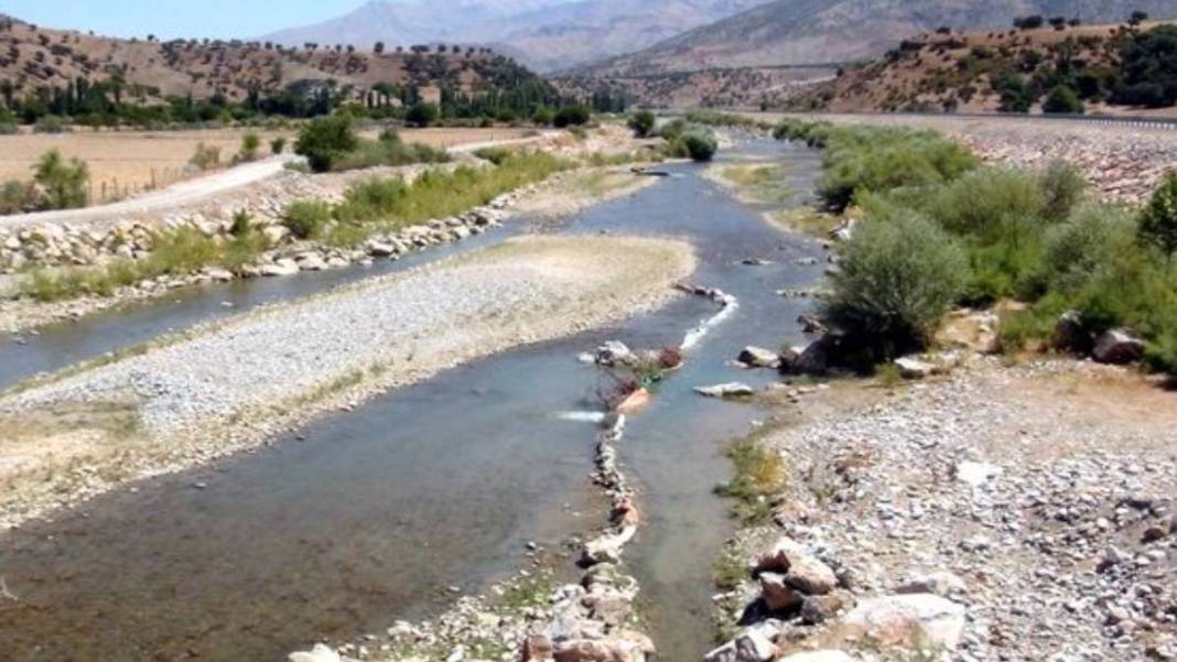Batman'da ortaya çıkan yaratık dev avını tek hamlede götürdü! Uzmanlar bile bunu açıklayamıyor. Artık kontrol etmek imkansız 1